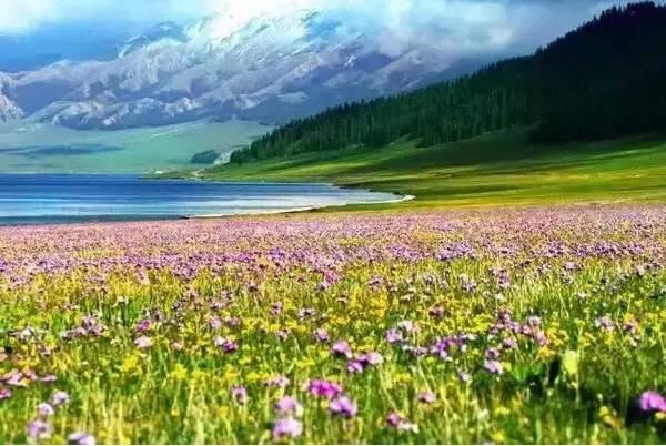 A new era of hope has risen in the beautiful land of Xin Jiang