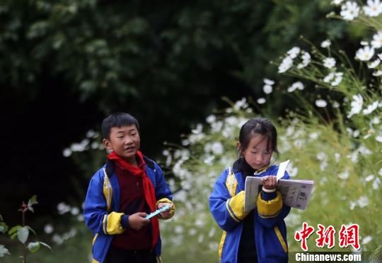 课间，学生们还在温习功课。 王磊 摄