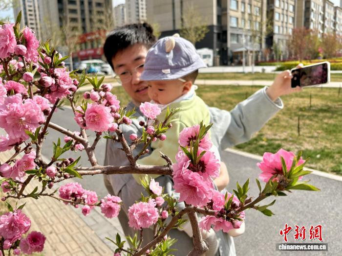 中国城市绿化带“花”样百出 成热门打卡点