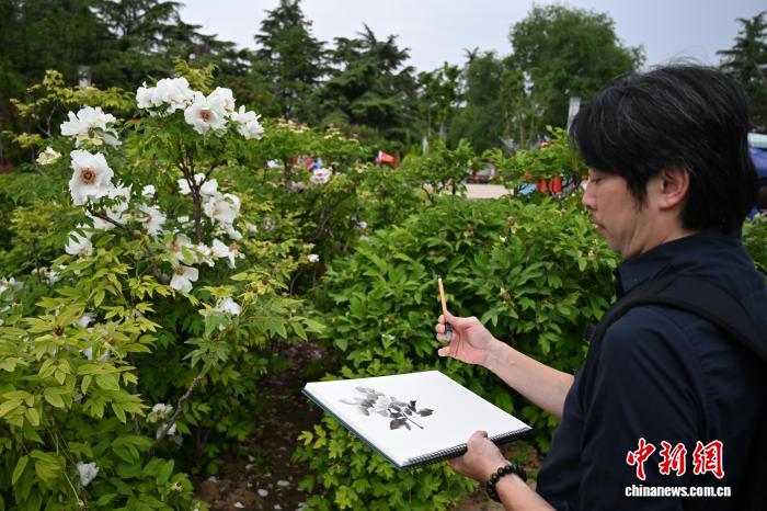 翰墨因缘聚花海 两岸书画家走进洛阳国家牡丹园采风