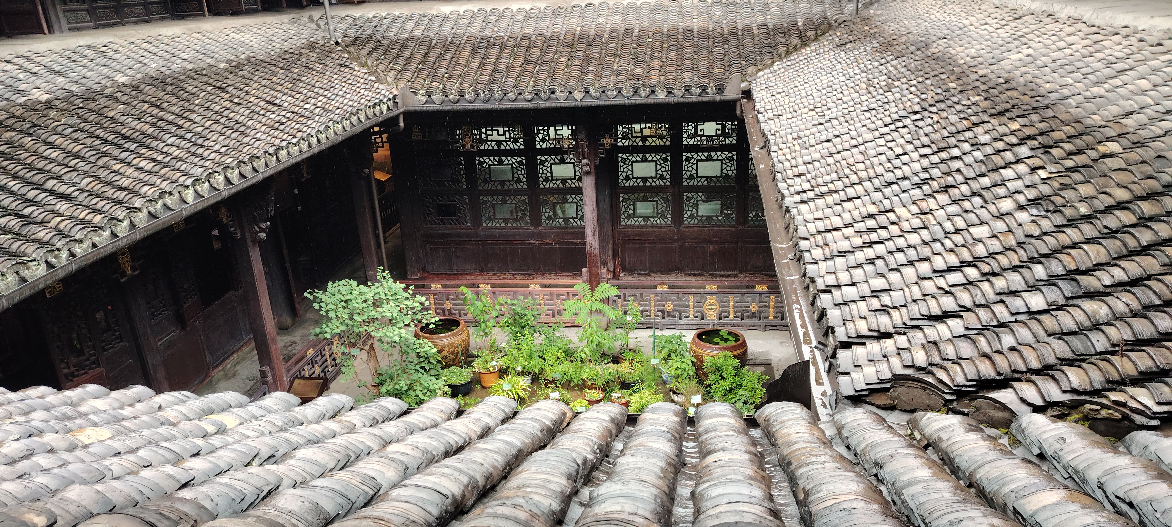 百年药香漫古巷 国药文脉跨山海--胡庆余堂