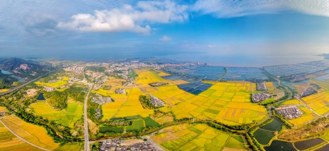 读懂江门，先读懂它的大气