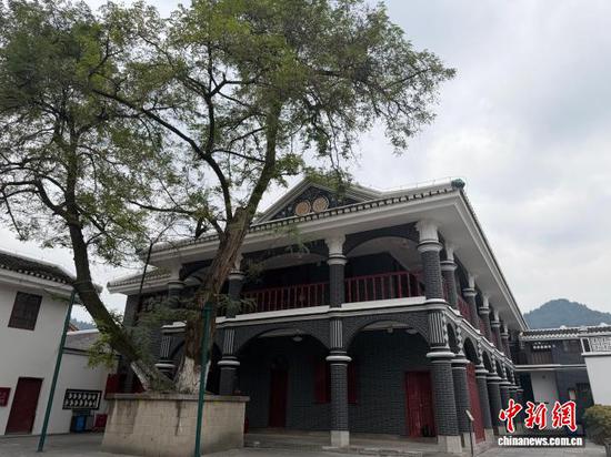 遵义会议纪念馆：一棵“活文物”承载历史